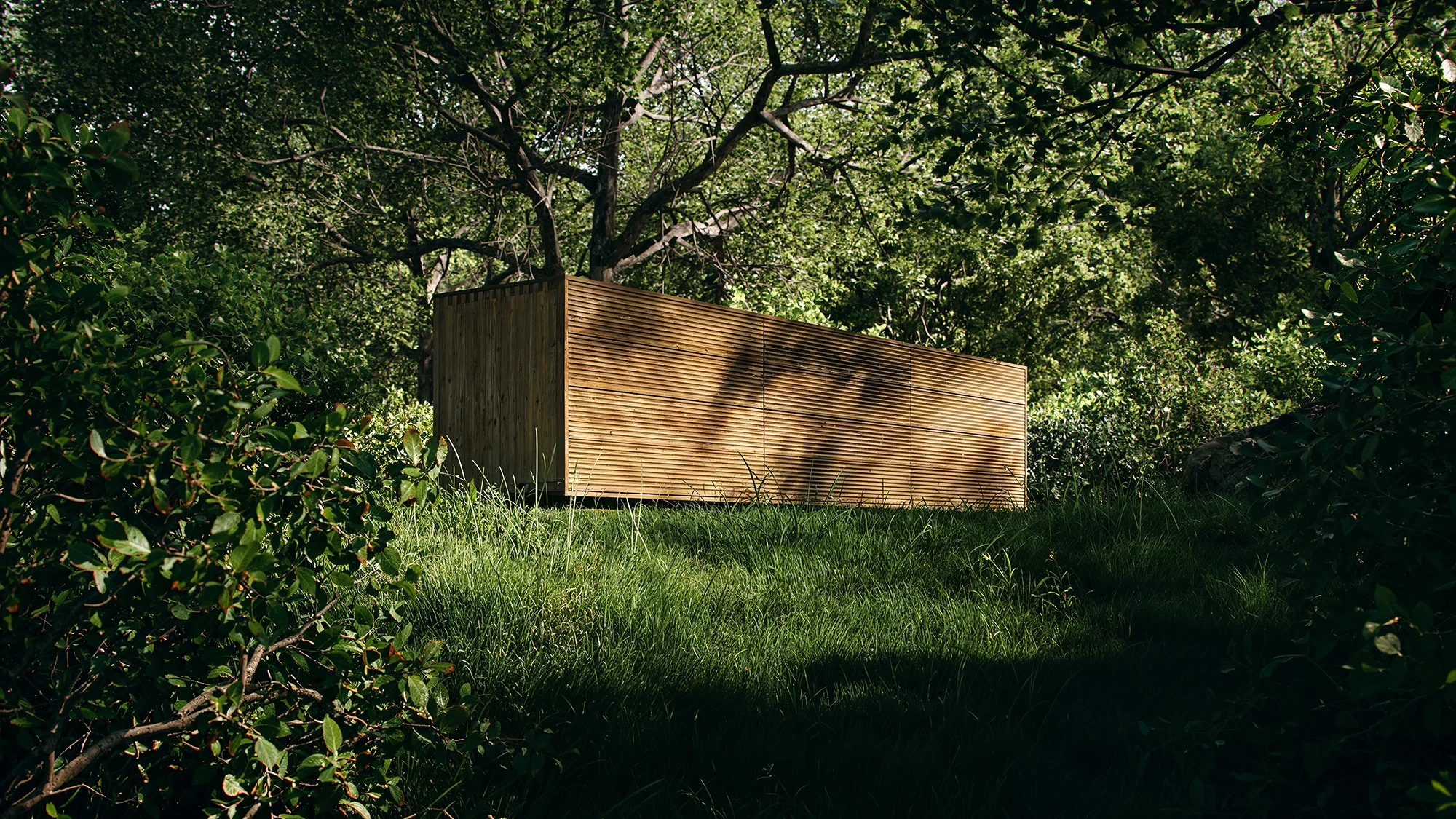 Midori Holz-Sideboard Waldumgebung - Ansicht 3
